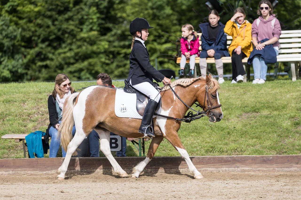 Bild 56 - Pony Akademie Turnier